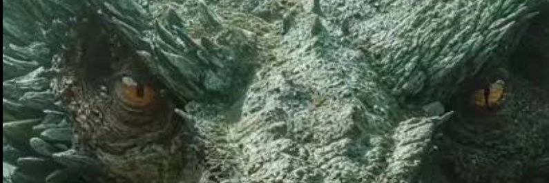 BALLERION E VAGHAR banner