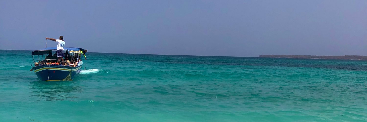 CamiMarcolin's profile banner image