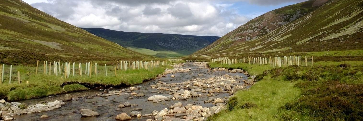 Dee Partnership banner