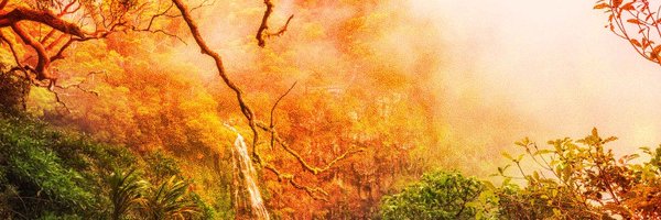 hawkAI_ Profile Banner