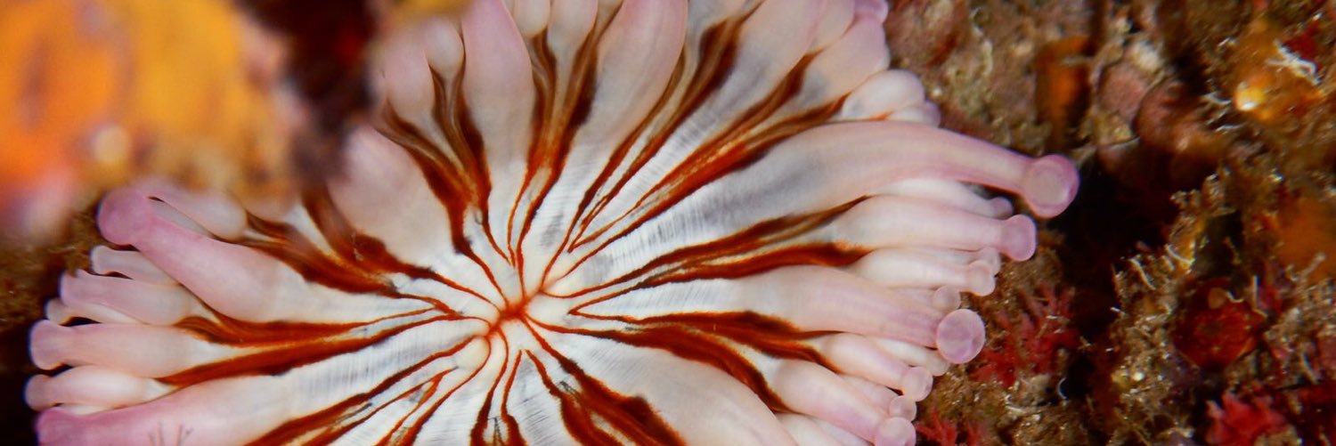 gemmapatris's profile banner image