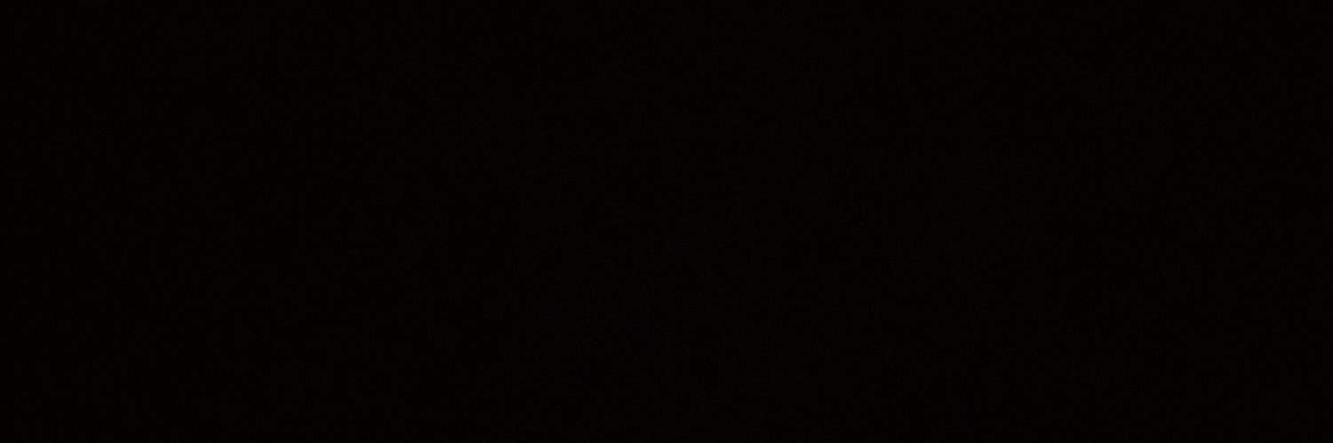 nunnes_ingrid's profile banner image