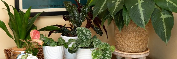 EnglishGardens Profile Banner