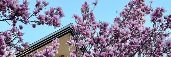 JanellBauer Profile Banner