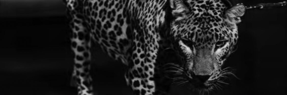 عظيمة|✨ banner