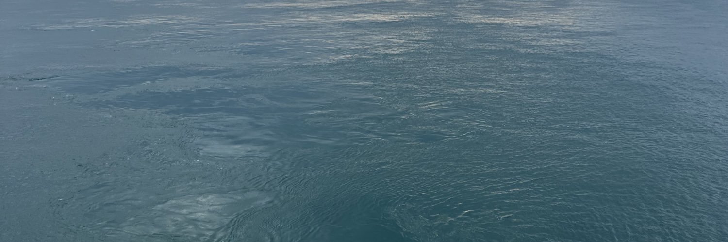ZELECT banner
