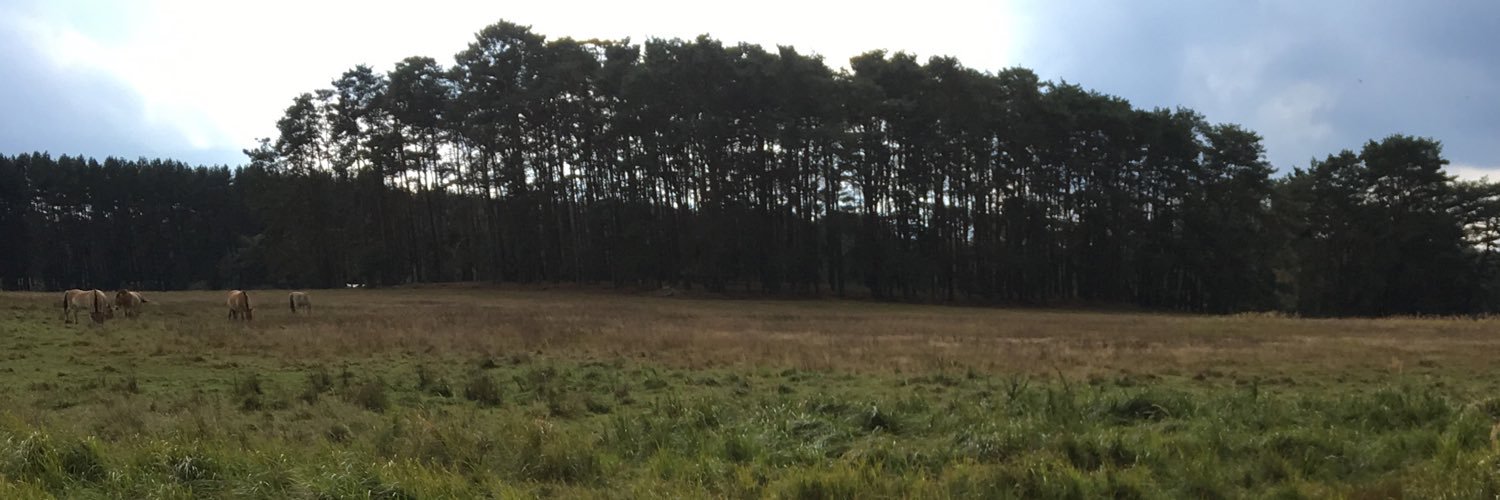 danielamueller9's profile banner image