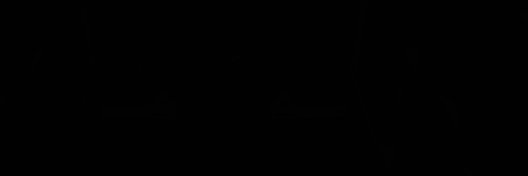noslinaim banner