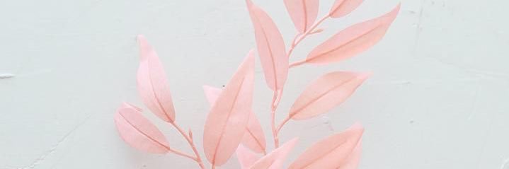 VictoriaSaizar's profile banner image