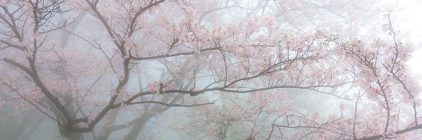 Nik ♡'s banner