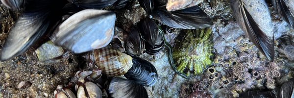 MolinariBio Profile Banner