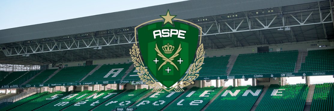 FFL | Paint Étienne banner