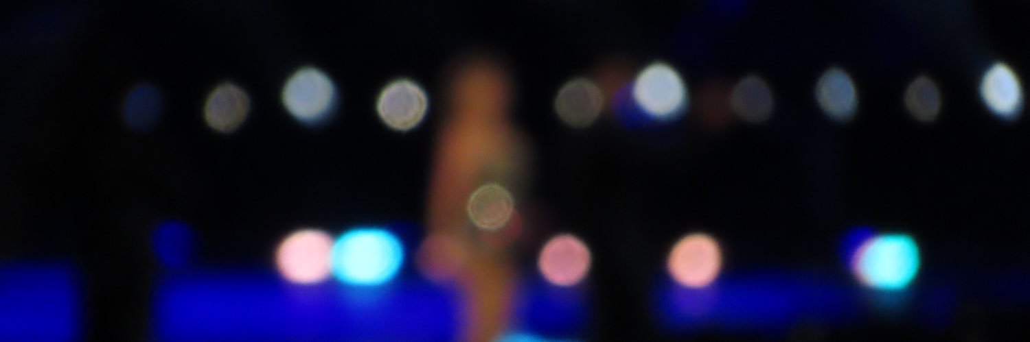 lisa banner