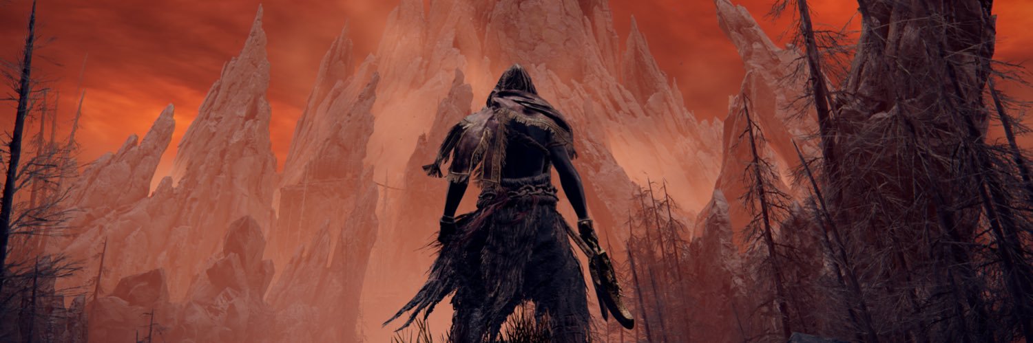 OP81 banner