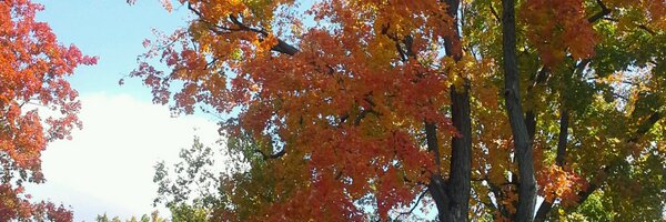 tsegabk Profile Banner