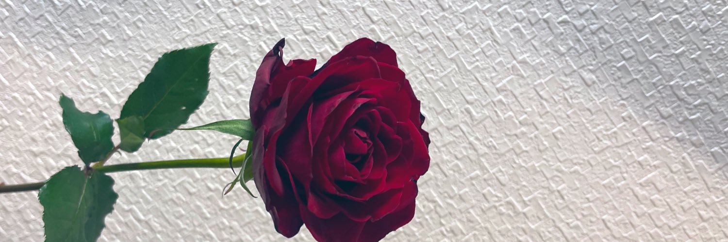⊂( ᴖ ̫ᴖ)⊃ずーこ⊂(ᴖ ̫ᴖ )⊃ banner