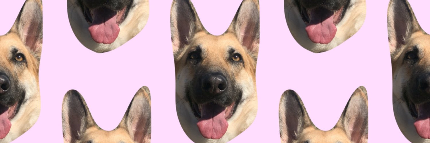 abby_brickey's profile banner image