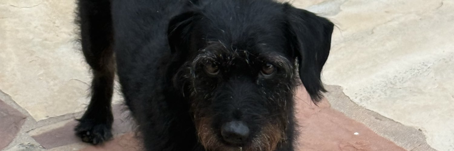 Greg banner