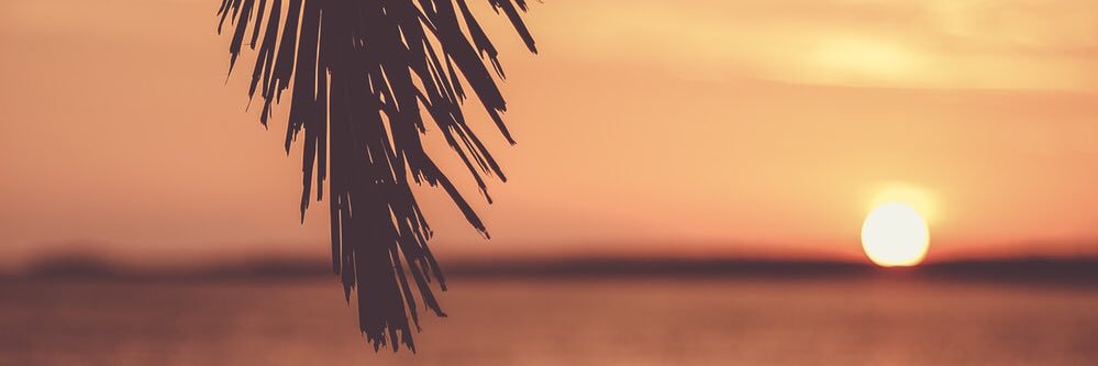 HabibiPhoebe's profile banner image