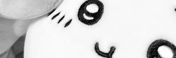 BARK's banner