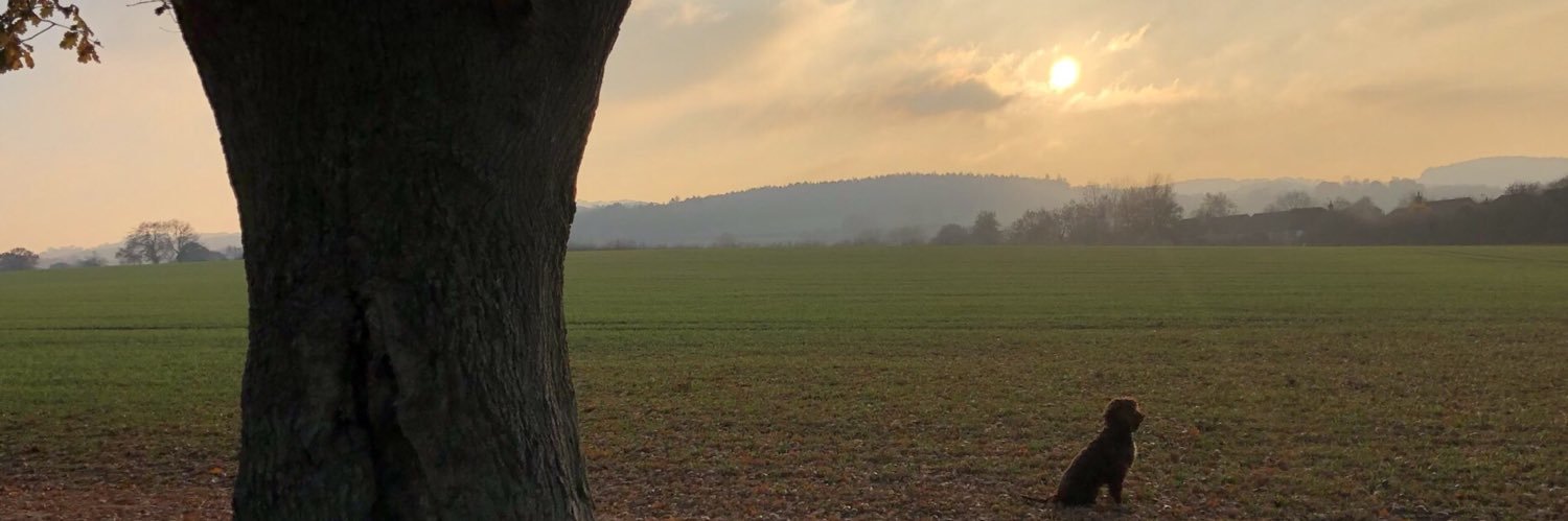 Theresa Harvey-Dunstan banner