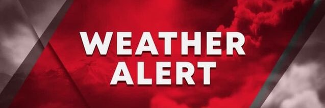 BradysChannel5 banner