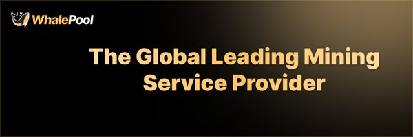 whalepool_com Profile Banner