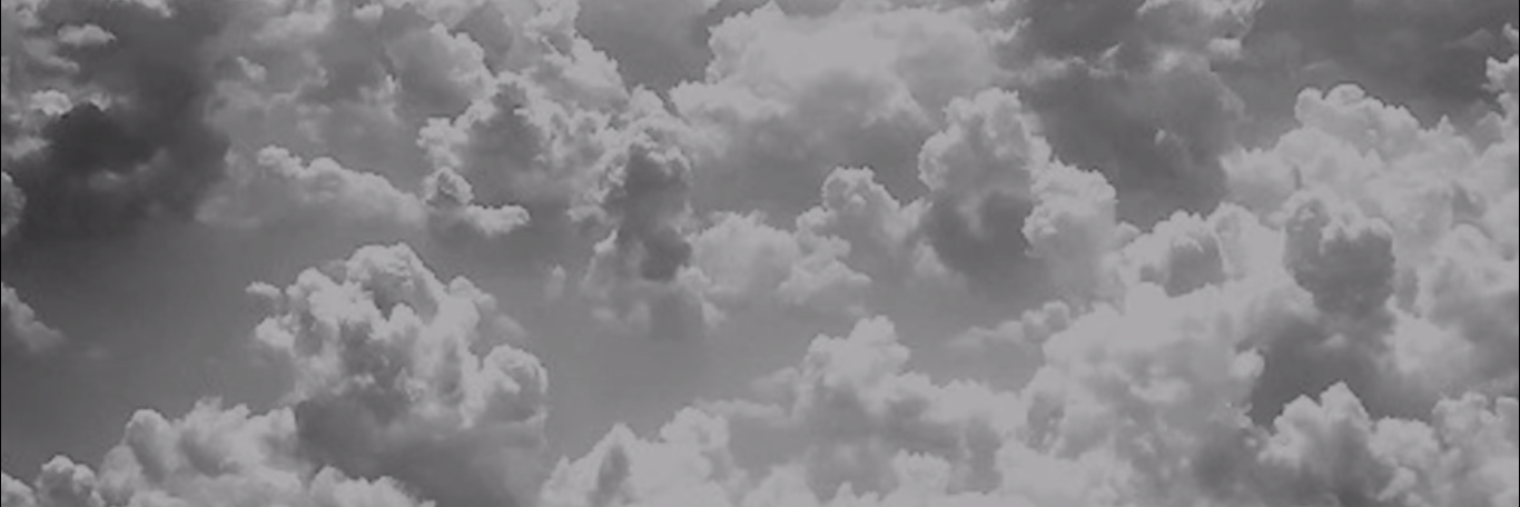 anietrust_'s profile banner image