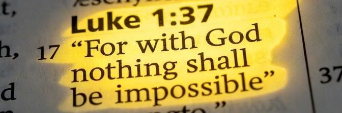 Danni_blvck047 banner