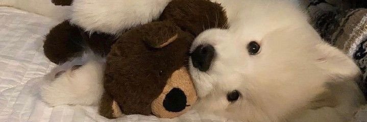 viiisme1's profile banner image