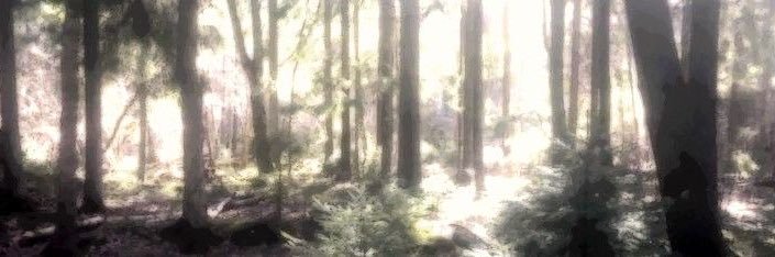 ♡ Sometimes Ross ♡ banner