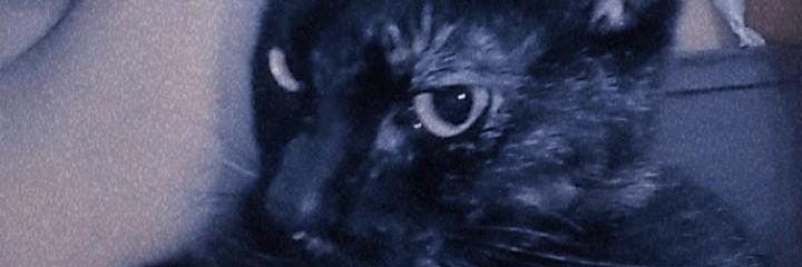MicaAF_13's profile banner image