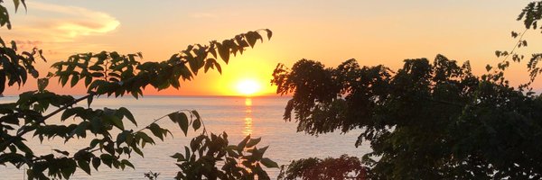 Repretel Profile Banner