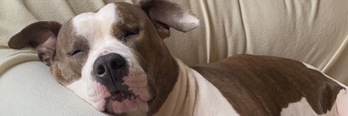 Jacob 🤙🏻 banner