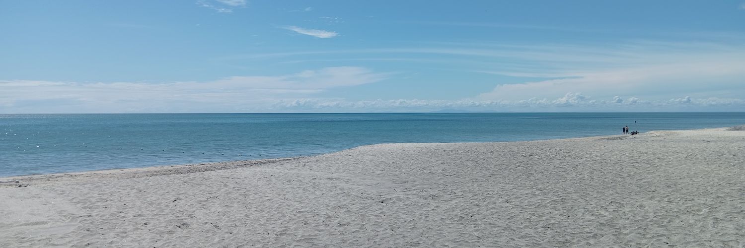 cataarangoo's profile banner image