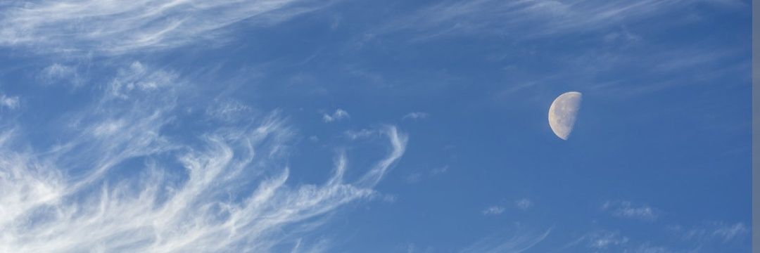 Sloth + Sloth = SlothanaCoin banner