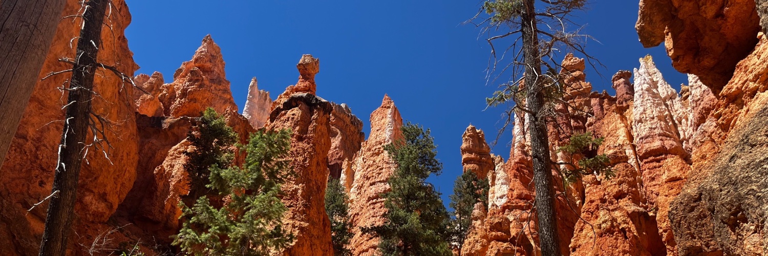 realbrycecanyon's profile banner image