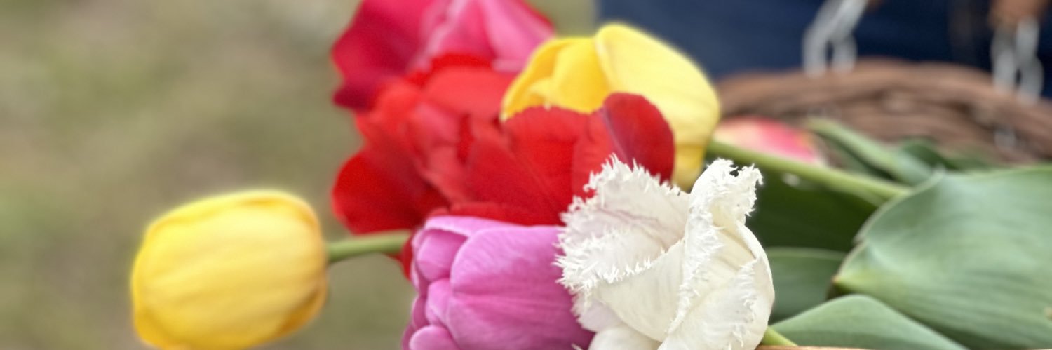 joselinenca31's profile banner image