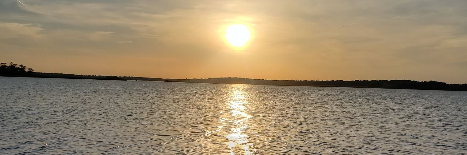 The Red Rocket 🔴🚀 banner