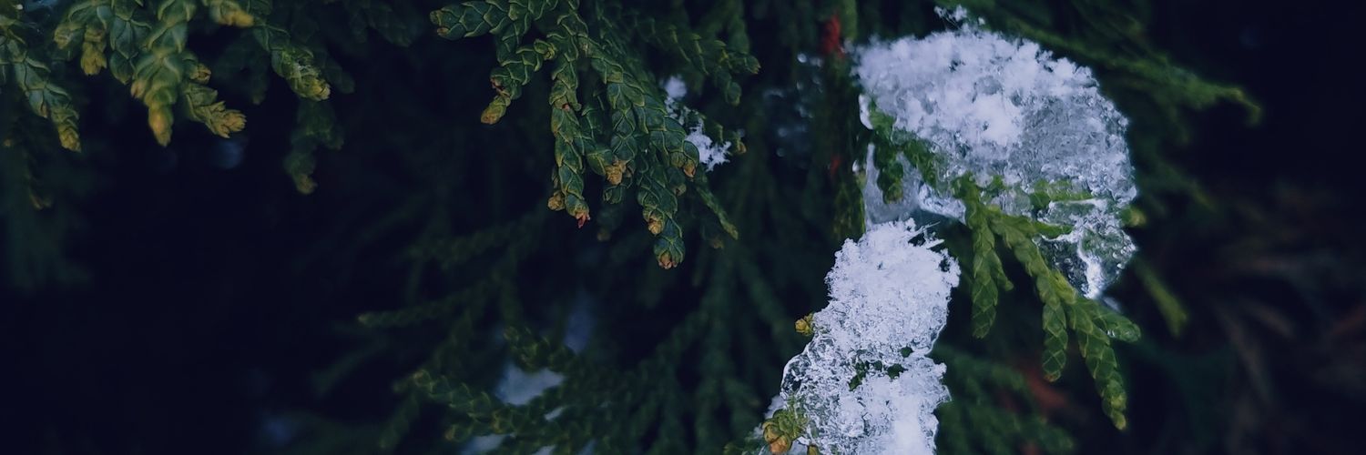 MelStlo's profile banner image