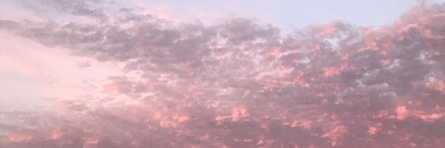 miseducated___'s profile banner image