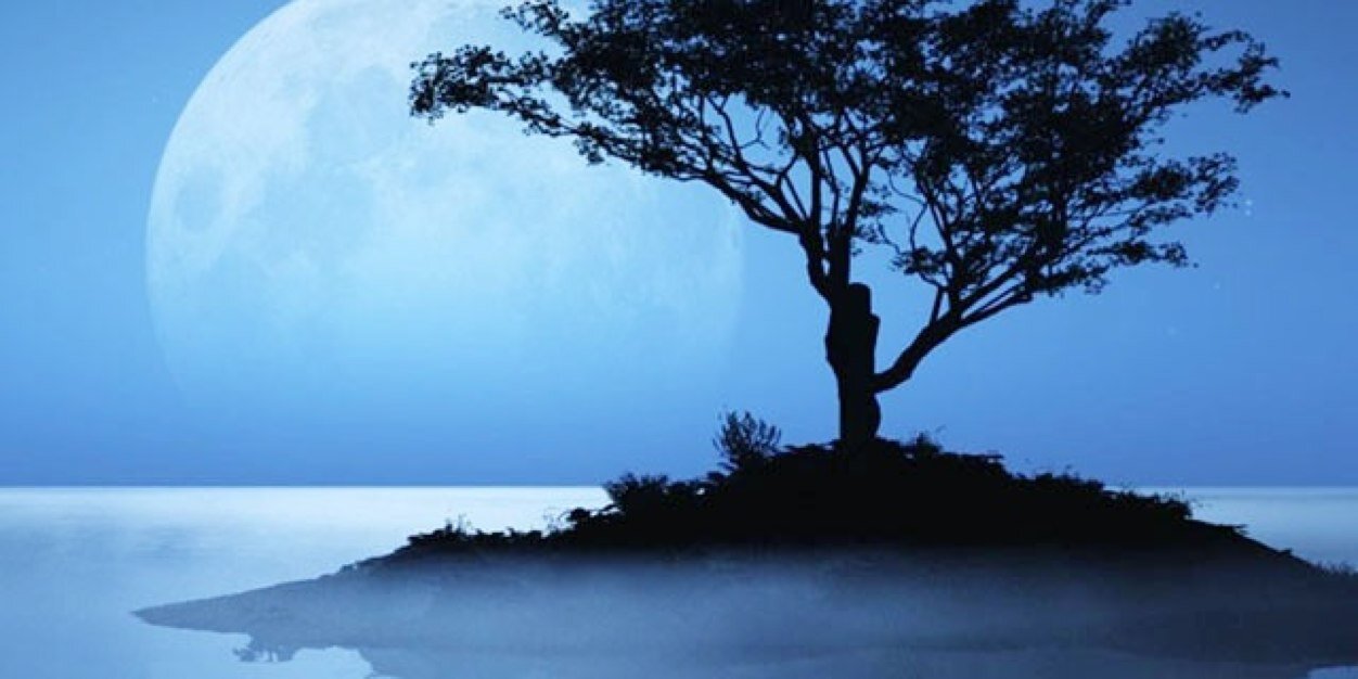 HothReis's profile banner image