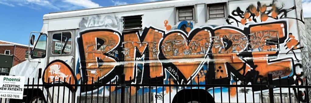 The Stylish One banner