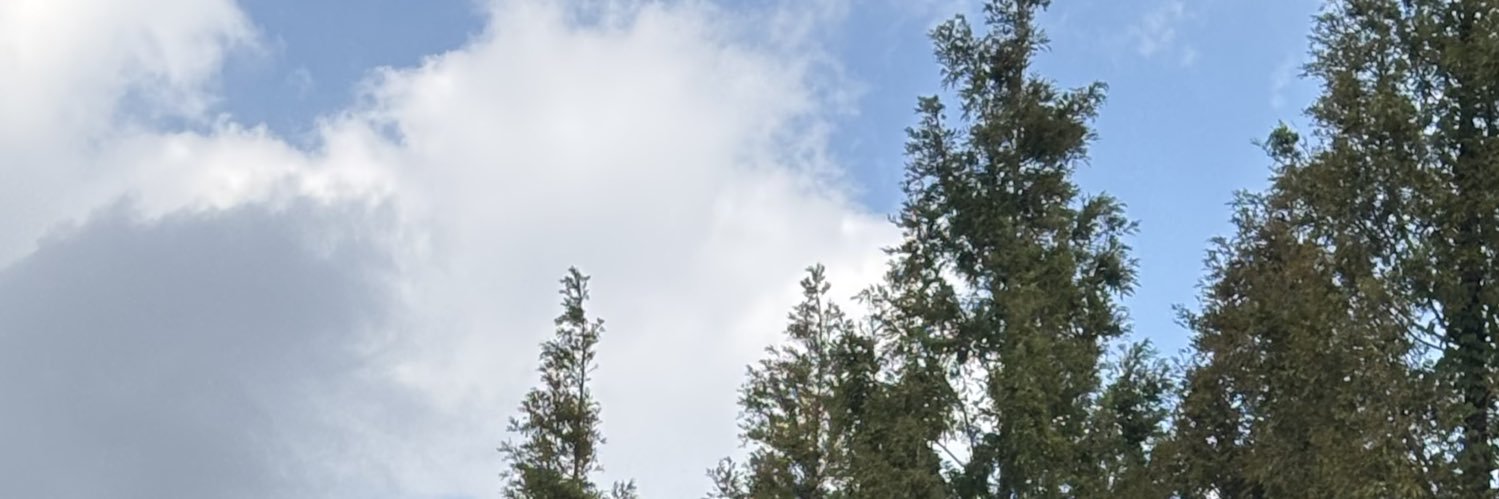 하롱's banner
