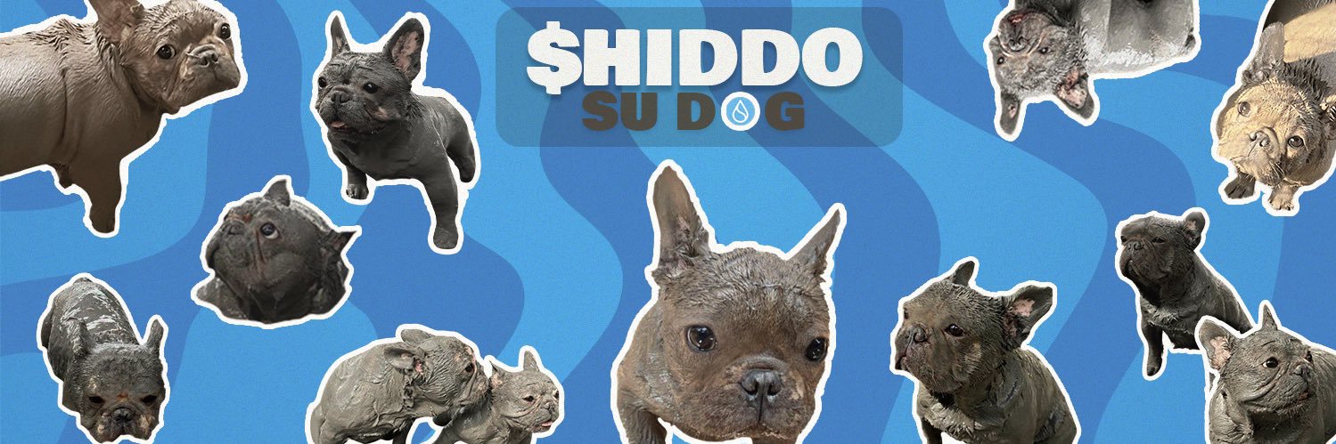 Hiddo | SuDog banner