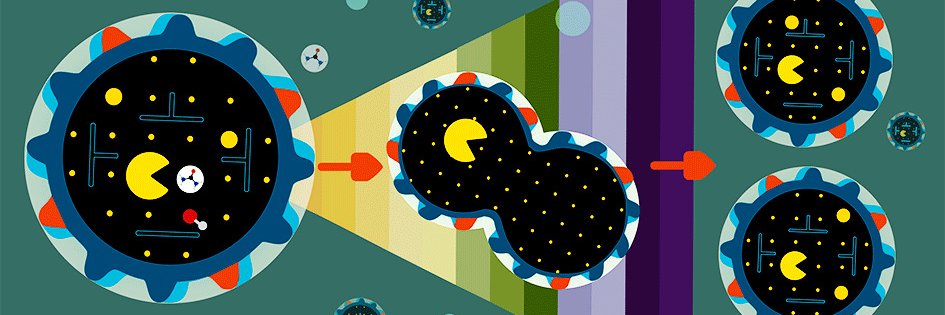 SmartCell_Unisi's banner