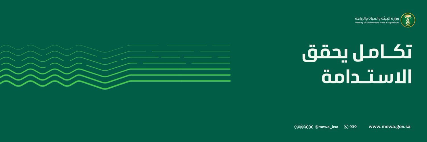 bshaieg's profile banner image