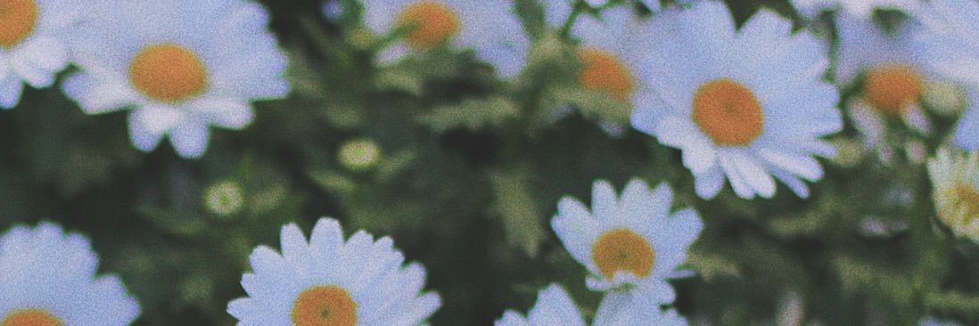 vkaaulia's profile banner image