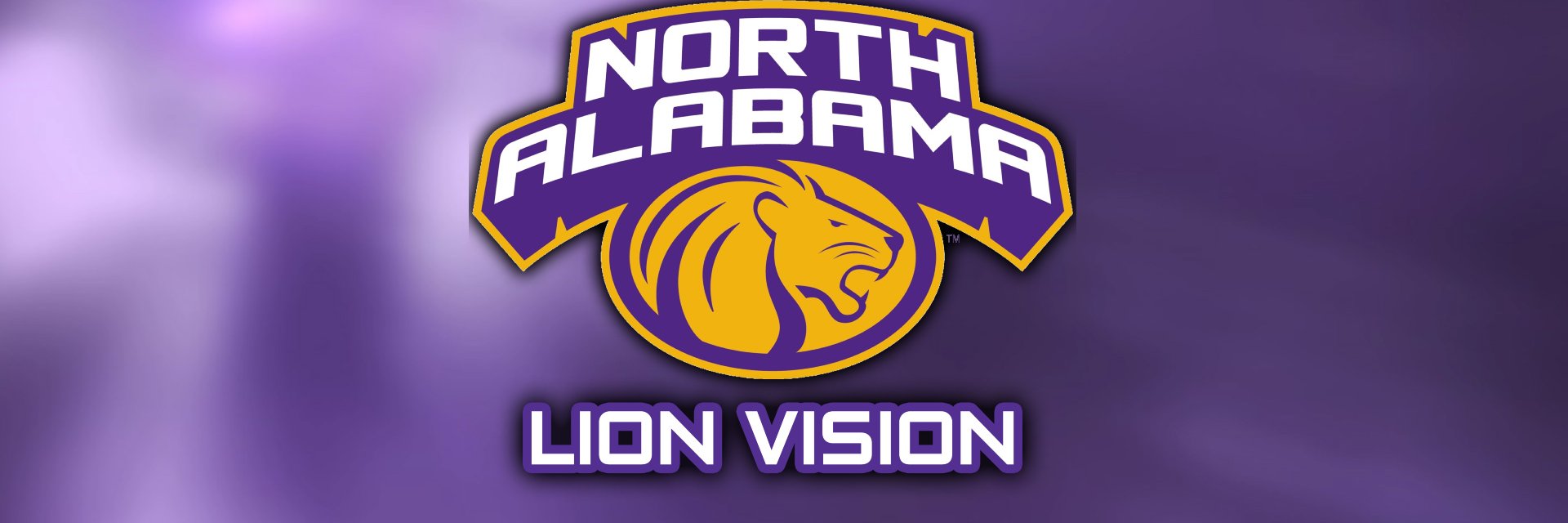 Lion Vision banner