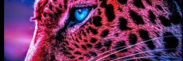 BLACKb0SSA Profile Banner